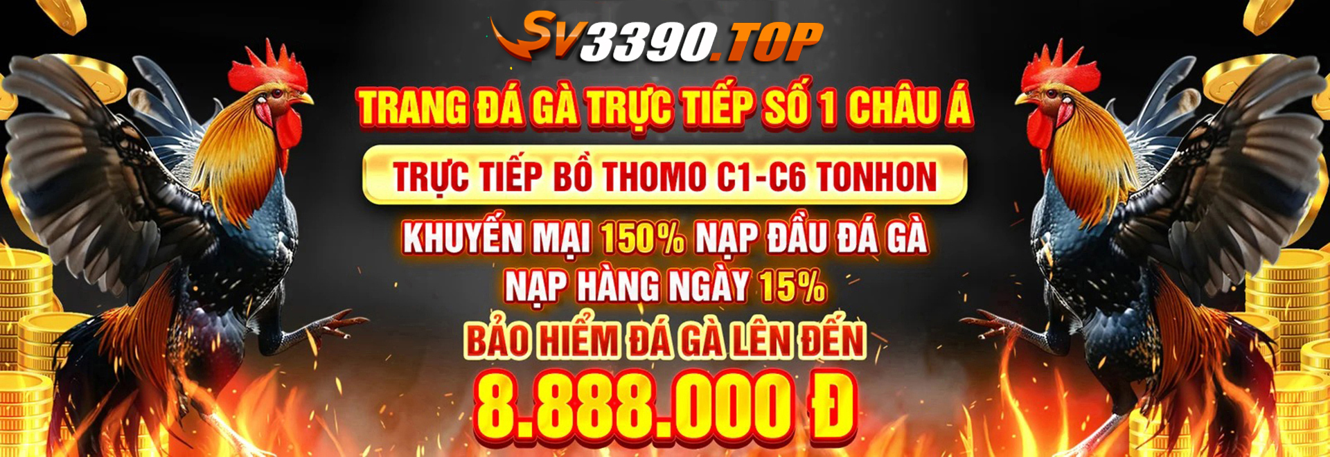 banner-sv3390-top